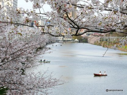 2008/03/29;外堀公園