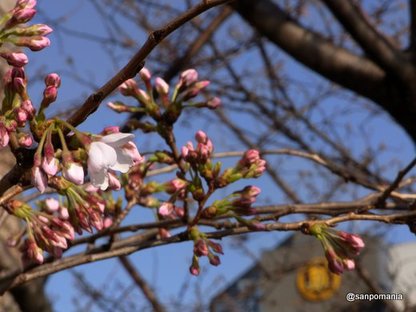 2010/03/21;ラムラ