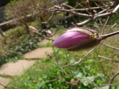 2010/03/27;寺内公園