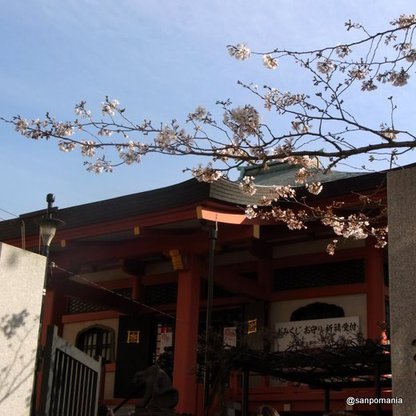 2010/03/27;花が少なくてまだ寂しい