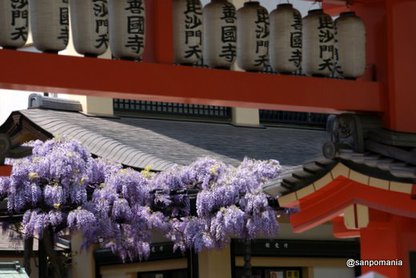 2010/04/29;毘沙門天の藤の花