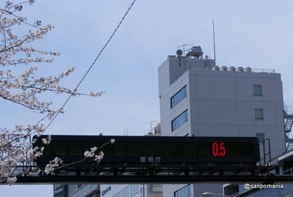 2012/04/06;花見渋滞