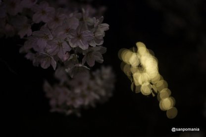 2012/04/08;カナルカフェの夜桜