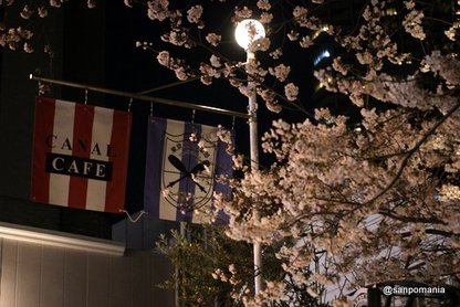 2012/04/08;夜桜はカナルカフェ