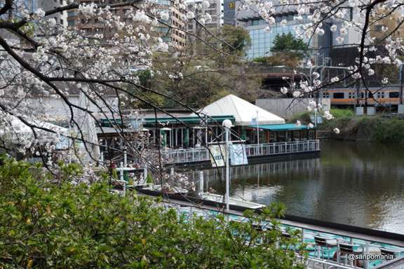 2013/03/23;カナルカフェの桜