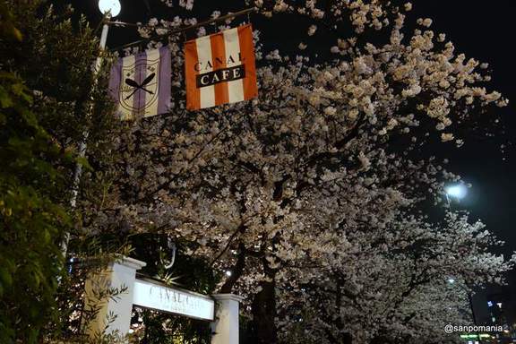 2013/03/25;カナルカフェの夜桜