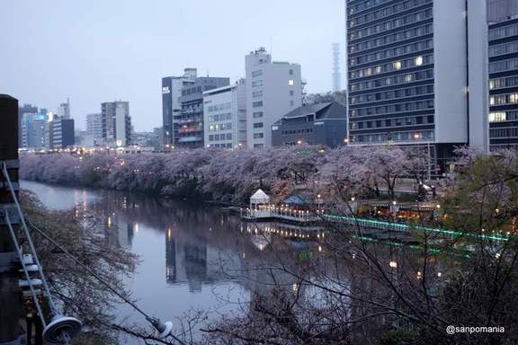 2013/03/31;今年の桜もこれで見納め