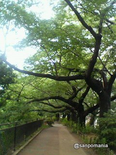 2007/06/22;外堀公園