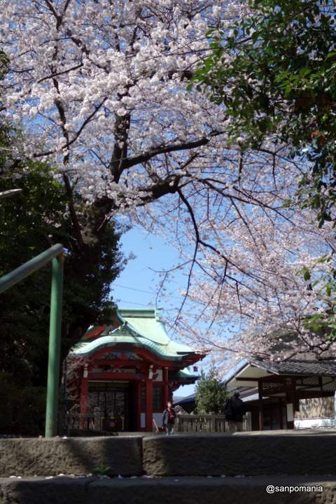 2013/03/21;津久戸八幡神社の階段からの眺め