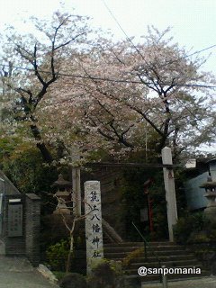 2007/04/07:筑土八幡神社::1967