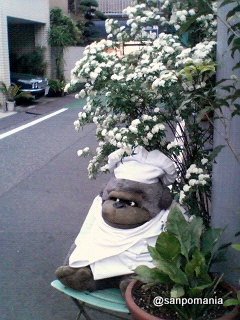 2007/04/22;こでまり